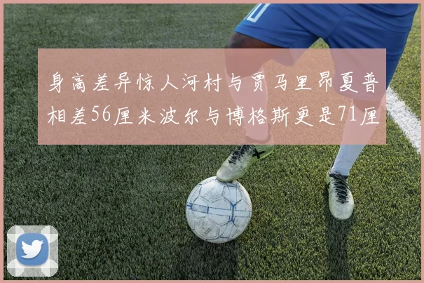 身高差异惊人河村与贾马里昂夏普相差56厘米波尔与博格斯更是71厘米