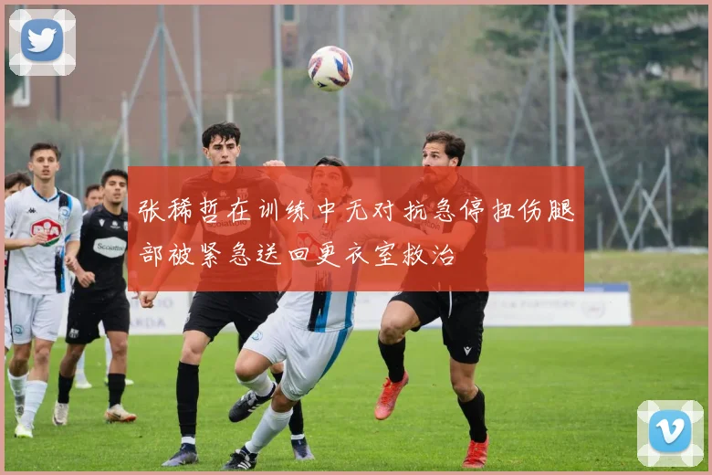 张稀哲在训练中无对抗急停扭伤腿部被紧急送回更衣室救治